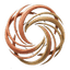 Anvaya